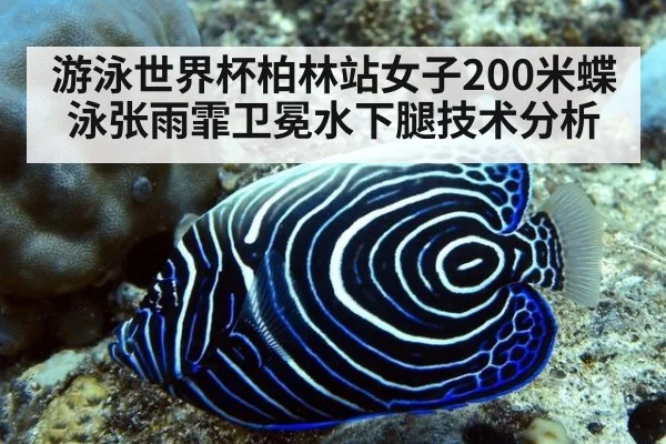 游泳世界杯柏林站女子200米蝶泳张雨霏卫冕水下腿技术分析