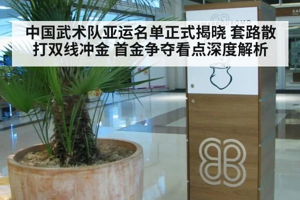 中国武术队亚运名单正式揭晓 套路散打双线冲金 首金争夺看点深度解析